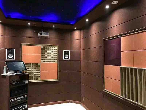 Polyester sound-absorbing cotton